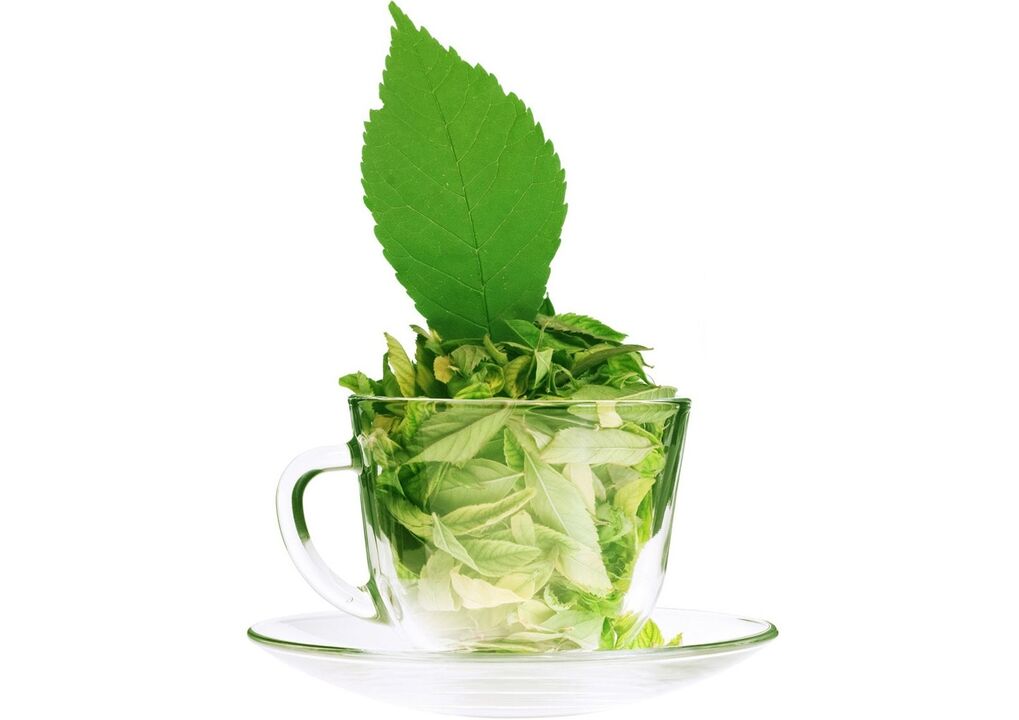 Green tea for varicose veins